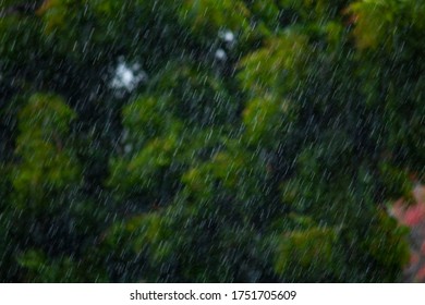 Heavy Rainfall Green Tree Background 