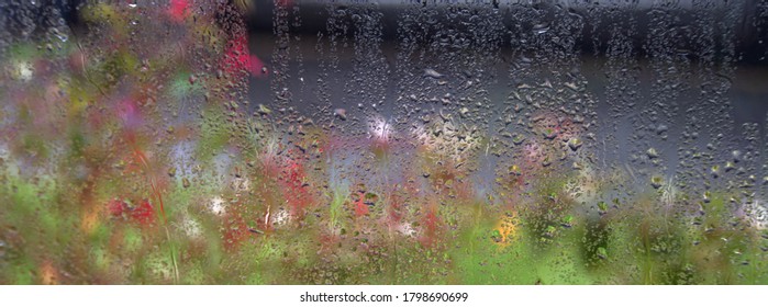 Heavy Rainfall / Raindrops On A Window Looking Out To A Mostly Green Garden