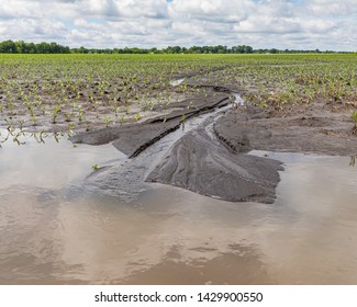 Heavy Rains And Storms In The Midwest Have Flooded Fields Causing Corn Crop Damage 