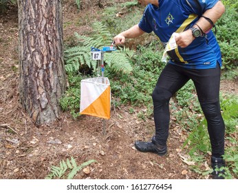 Heavy Run In Forest. Orienteering  Marker And Orange White Box Outdoor In A Forest. Orienteering Run, 16th Of August 2019. Mladejov, Czech Republic. 