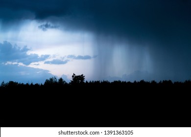 Heavy Shower Rain Over The Forest At Night. Rain Pouring From Dark Clouds In The Sky At Dusk, Thunder Storm Is Coming