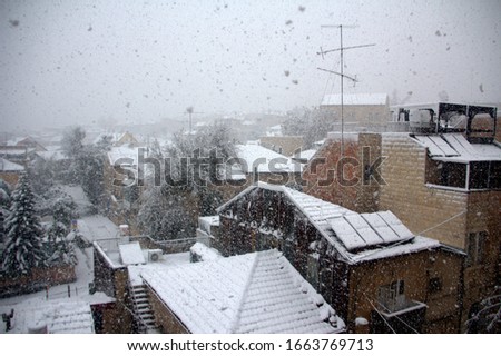 Similar – Image, Stock Photo Snowy Afternoon Walk