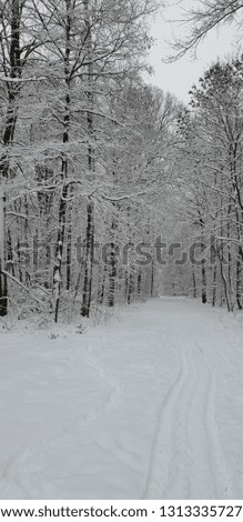 Similar – Image, Stock Photo Tracks in the snow Winter