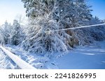 Heavy snow and trees laying on power lines after a Wiscosin winter storm, horizontal