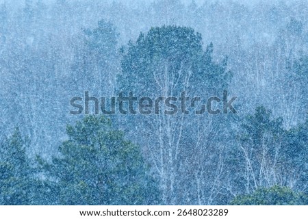 Heavy snowfall covers the forest, creating a serene winter landscape during twilight hours