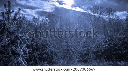Heavy snowfall in the forest against the backdrop of moonlit clouds.