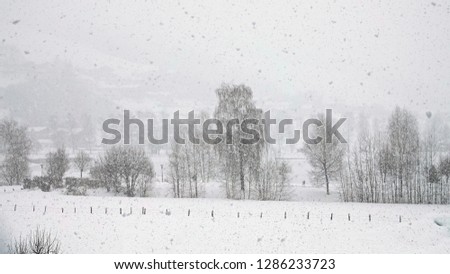 heavy snowfall in the mountain