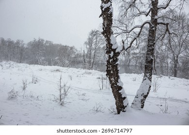 Heavy snowfall transforms a tranquil winter landscape. Snow-laden birch trees stand tall near a serene, partially frozen river, creating a chilly, peaceful scene