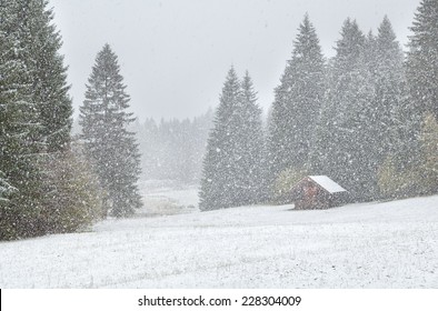 heavy snowstorm over alpine meadows in forest, Bavaria, Germany - Powered by Shutterstock