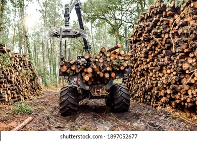 Heavy Vehicle Used In The Logging And Forest Maintenance Industry