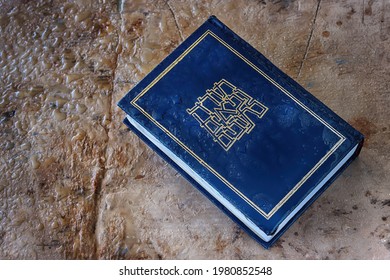 search hebrew torah bible code