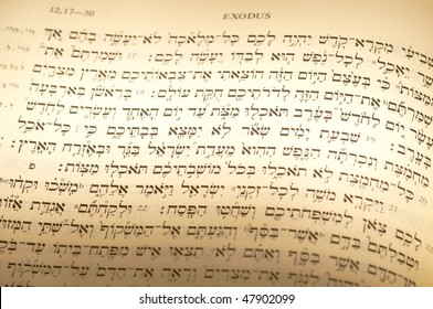 Hebrew Text Of Exodus 12 On The Passover, The Relevant Portion Subtly Highlighted