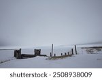 Hecla Provincial park in the early spring (unedited)