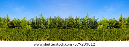 Similar – Image, Stock Photo Hedge pruned Worker air