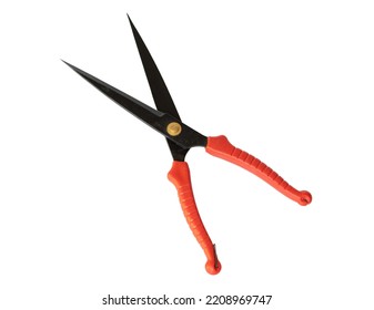 Hedge Clipper On White Isolated Background