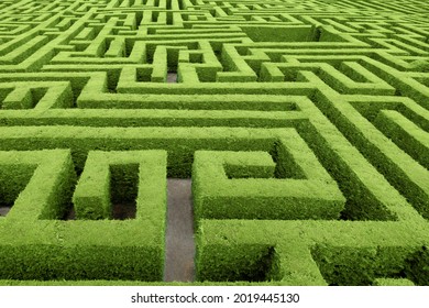 Hedge cut into a maze like puzzle pattern forming a garden labyrinth - Shutterstock ID 2019445130