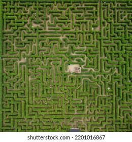 Hedge Maze Drone Shot From Above