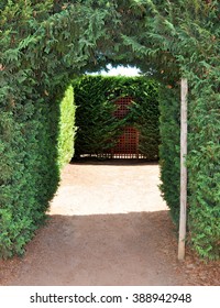 Hedge Maze Entry In Gardens At Amaze'n Margaret River/Maze Entrance/MARGARET RIVER,WA,AUSTRALIA-JANUARY 16,2016: Hedge Maze Entry In Amaze'n Margaret River Gardens In Margaret River,Western Australia.