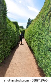 Hedge Maze With Person At Amaze'n Margaret River/Lost: Hedge Maze/MARGARET RIVER,WA,AUSTRALIA-JANUARY 16,2016:Hedge Maze Path In Amaze'n Margaret River With Person In Margaret River,Western Australia.