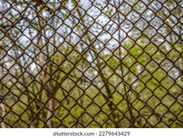 A hedge in the village.Old chain link pattern abstract fence with green grass field background. Focus foreground with soft, blurry background. Any backdrop, private property, sports field concept. - Powered by Shutterstock