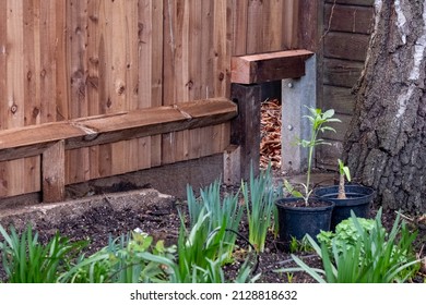 A Hedgehog Highway In An Urban Garden In London UK. The Gap In The Wooden Fence Is Large Enough To Let Wildlife, Including Hedgehogs And Badgers, Roam Freely From Garden To Garden. 