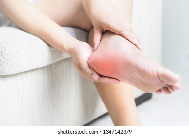 Heel pain , Tendon inflammation