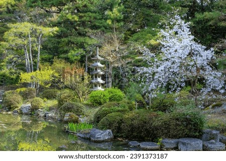 Heian Jingu Garden is a garden with a variety of plants, ponds and buildings and weeping cherry trees, making it's one of the best cherry blossom spots in Kyoto