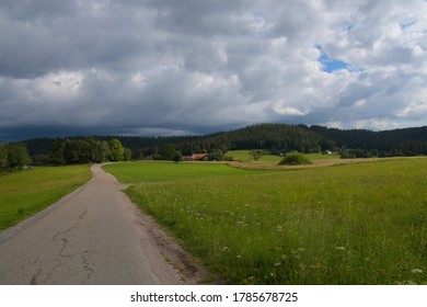 Heights of the Fohrenbuehl are in the black forest in germany