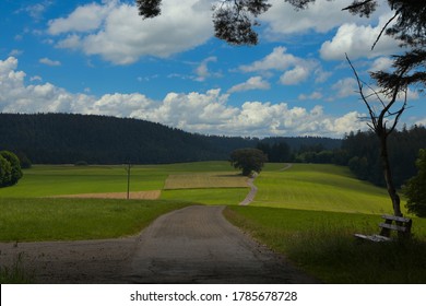 Heights of the Fohrenbuehl are in the black forest in germany