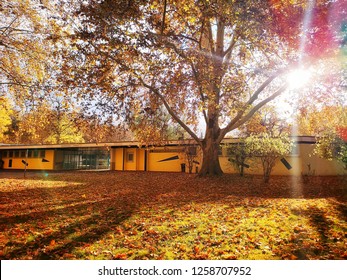 Heilbronn, Germany - November 11, 2018: Sunset At Wertwiesen Park In Autumn.