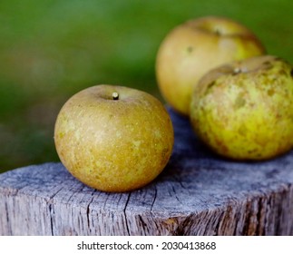 Heirloom Apples On A Wooden Stump