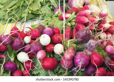 Heirloom And Easter Egg Colorful Radish Bunches At Farmers Market Fruits And Vegetables Stall