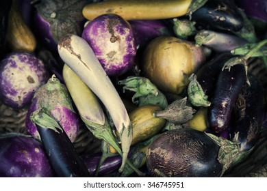 Heirloom Eggplants Of Many Colors Displayed In Giant Basket