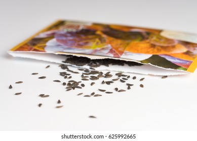 Heirloom Lettuce Seeds Spilled From A Seed Packet