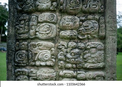 Heiroglyph Carvings At Copán Mayan Ruins In Honduras