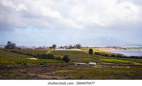 Helderberg Rural, South Africa - 26-06-2021

Vineyards In Grabouw On A Wet And Cloudy Afternoon. Wine And Dine Concept.