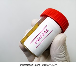 Helicobacter Pylori Or H. Pylori PCR Test.