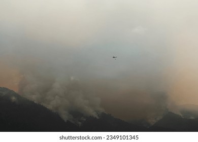 Helicopter carries water to fight a fire in a pine forest in the Canary Islands. There is a lot of smoke coming out of the pine forest in the mountains. - Powered by Shutterstock