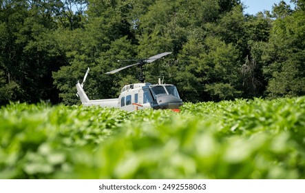 Helicopter Landing in Green Field. A helicopter landed in a field of green foliage, with a forest line in the background. - Powered by Shutterstock