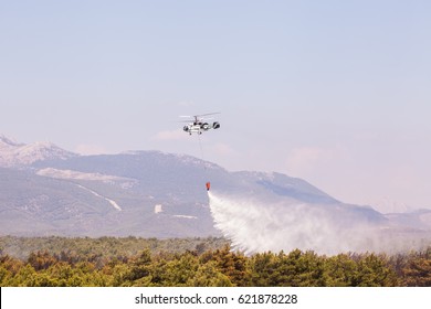 Helitack Extinguishing A Forest Fire