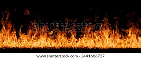 Hell flames, devil's mouth. fire banner. A background of scalding flames. Firestorm. Fire burning. Bright burning flames on a black background. Wall of Real fire, abstract background. Fire flames