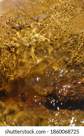 Hell Gill Beck, Yorkshire Dales, Abstract Pattern In Flowing Water