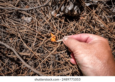 Hell impending like a spark on a powder keg on a scorching summer day. Arsonist setting fire to a dry pile of nozzles