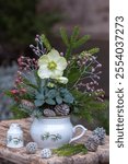 helleborus niger, fir branches and rose hips in a sauce boat in the winter garden