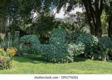 André Heller Botanical Garden. Gardone Riviera (BS), ITALY - August 25, 2020