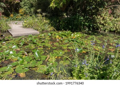 André Heller Botanical Garden. Gardone Riviera (BS), ITALY - August 25, 2020