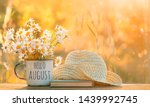 Hello August. chamomile flowers in Cup, old book, braided hat in garden, natural background. rustic summer seasonal composition. relax time. 