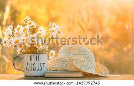 Hello August. chamomile flowers in Cup, old book, braided hat in garden, natural background. rustic summer seasonal composition. relax time. 