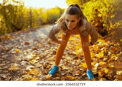 Hello autumn. modern female in fitness clothes in the park stretching. - Shutterstock ID 2366532719