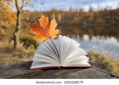 Hello autumn. seasonal atmospheric photo. yellow-orange maple leaf between the pages of an open book on a sunny day. pleasant solitude, self-education is a pleasure. Simple human joys. enjoy every day - Powered by Shutterstock